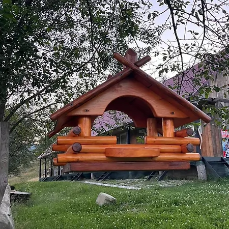 карпатські мандри Apartment Verkhovyna